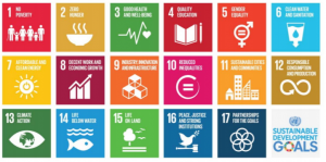 SDGs