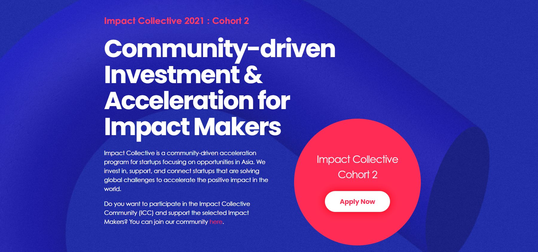 Impact Collective Cohort 2