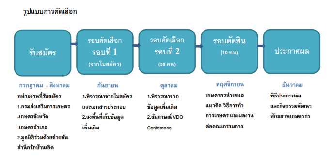 รูปแบบการคัดเลือก