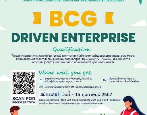 BCG Model - driven Enterprise