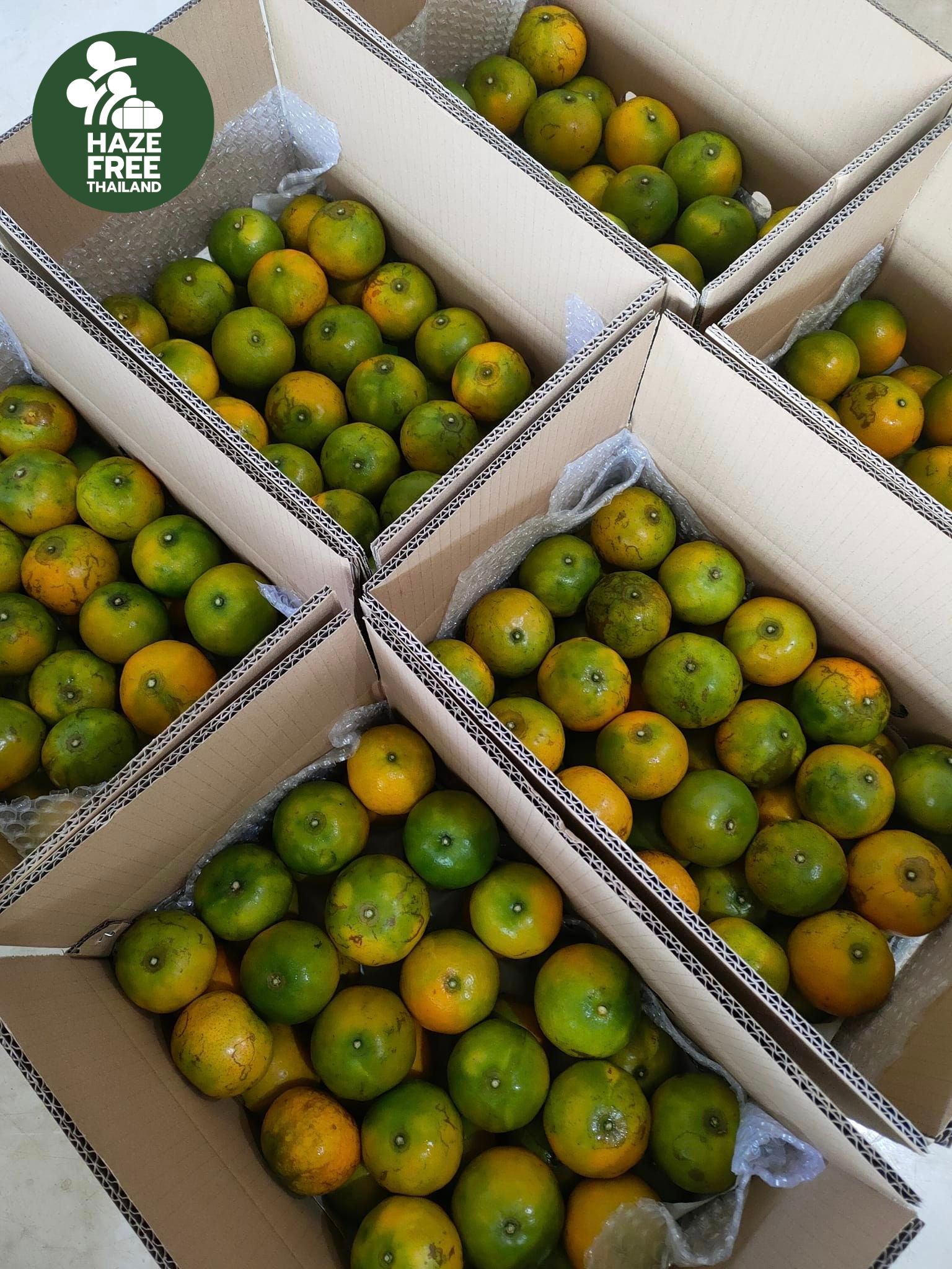 ผลผลิตทางการเกษตร