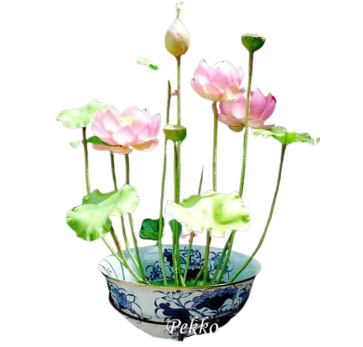 ดอกไม้ (Handmade Flowers)