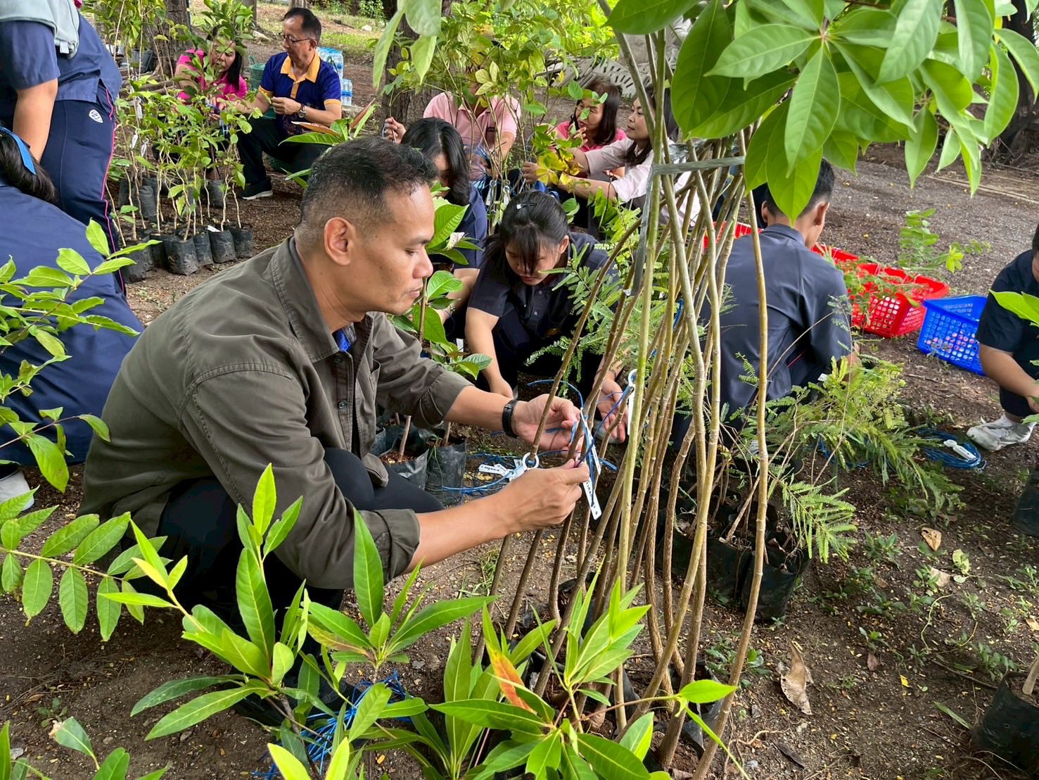 การออกแบบและวางแผนฟื้นฟูป่า (Forest Restoration Advisory)