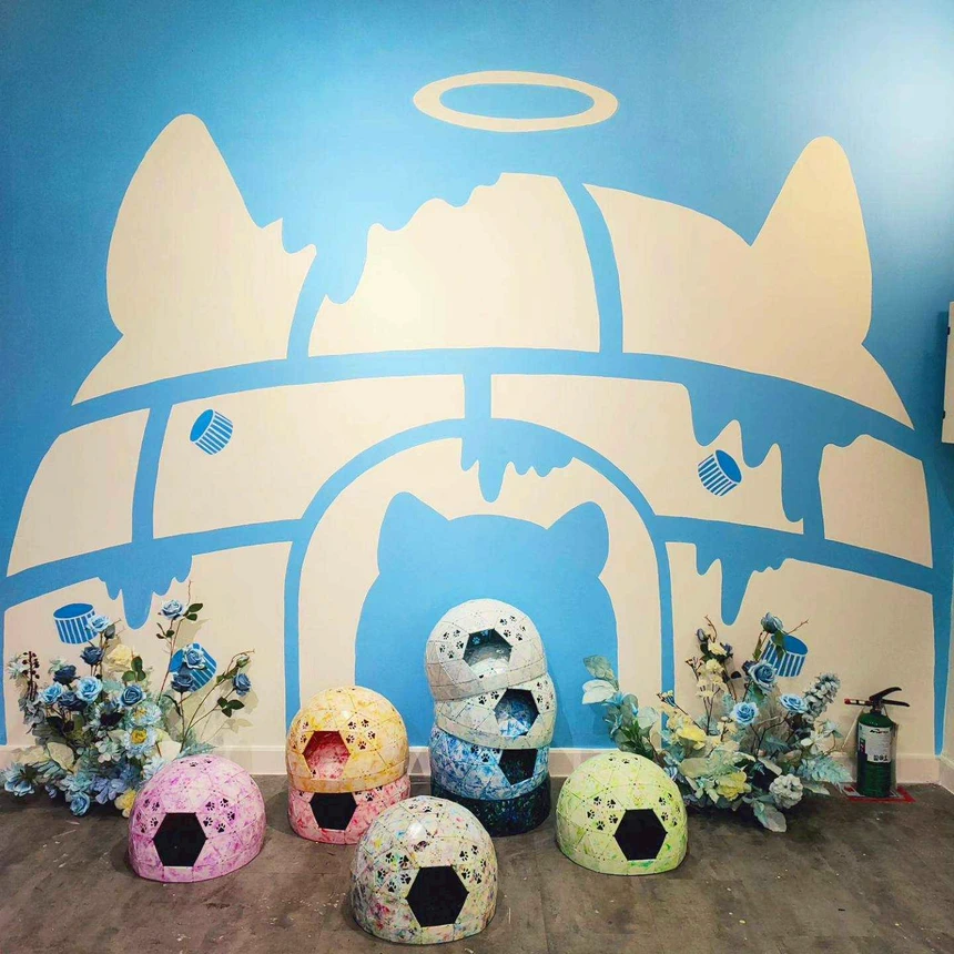 โดมแมวจาก CAT UP